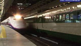 東北新幹線E2系到着・200系発車 JR東日本 Shinakansen E2 and 200