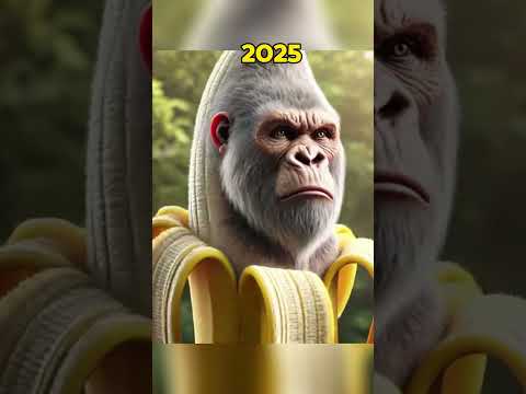    2025  12025 
