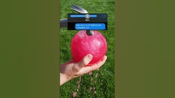 @Plug_Ai  Do not click the music!💀