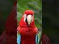 10 أسرار مذهلة عن عالم الطيور! 🦅 هل تعلم أنها أحفاد الديناصورات؟