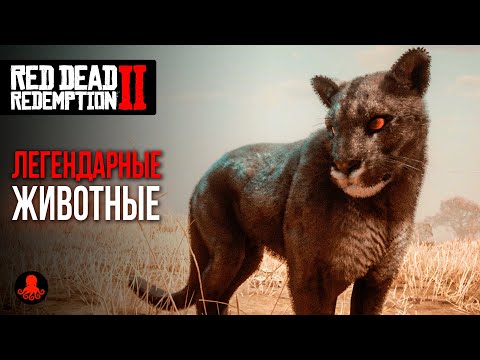 Видео: ЛЕГЕНДАРНЫЕ ЖИВОТНЫЕ в Red Dead Redemption 2 | RDR2