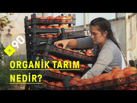 Video: Organik tarım ile ne kastedilmektedir?