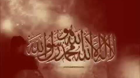 مزمار من مزامير ال داوود #تلاوة خاشعه #قران كريم #ترتيل