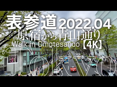 表参道 - 原宿から青山通り - 2022.04【4K】Walk in Omotesando