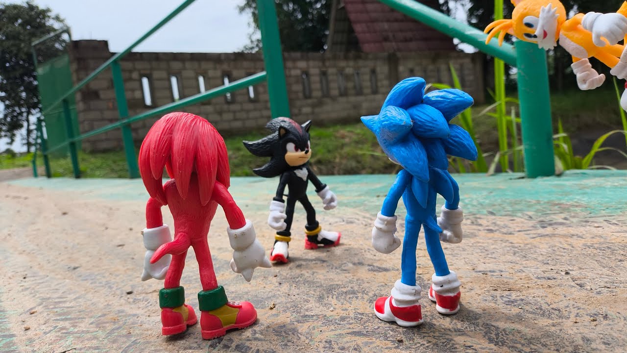 Sonic Hedgehog, Sonic Shadow, Knuckles, Tails, Metal Sonic, Super Sonic, Metal Sonic, Super Shadow