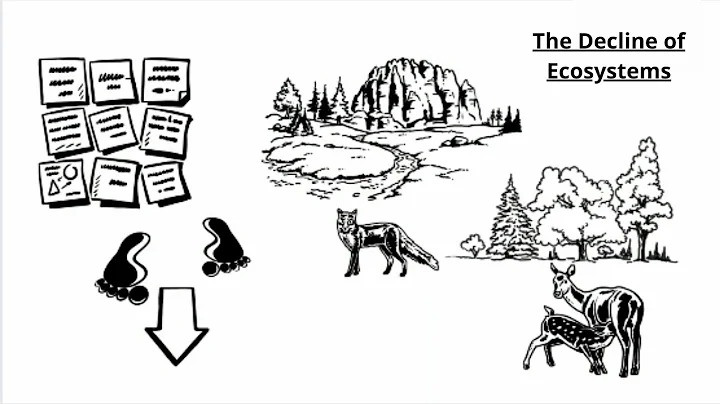Ecological collapse | The Decline of Ecosystems | How does ecosystem decline affecting our earth? |