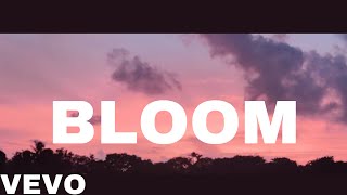 Emmanuel Cae - BLOOM (Official Lyric Video)