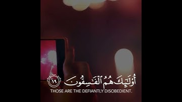 حالات واتس اب قران كريم بصوت شريف مصطفى | تلاوة خاشعة 🌸🍃
