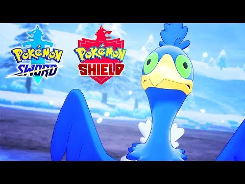 Pokémon Sword & Shield - Official Camp, Character Customization, And New Pokemon Reveal Trailer