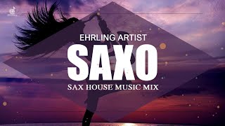 Las 20 Mejores Canciones De Saxofón | Saxophone House Music 2020 | EHRLING - Nu Lounge Bar Music