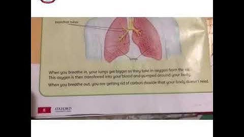 Class - 4 l Science l Lecture 19 l Spring Holidays