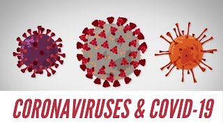 CORONAVIRUSES & COVID-19
