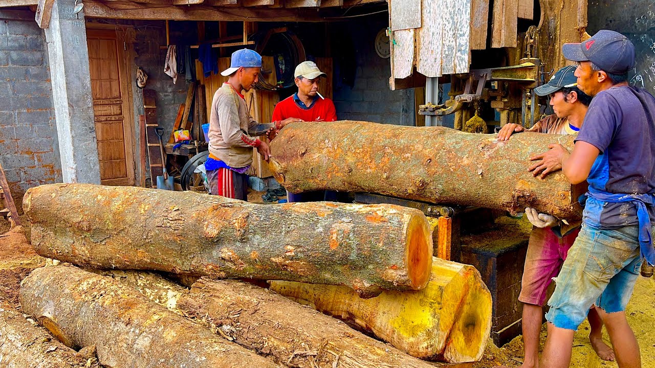 IT'S OUTRAGEOUS! THE OPERATOR IS SO FEROCIOUS WHEN SAWING THE JACKFRUIT WOOD.