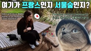 😸프랑스언니가 극E인 한국고양이와 사랑에 빠진 이유는??😸🩵 SEOUL FOREST - Seoul - Korea #shouldercat #어깨위고양이깔루아 #성수동