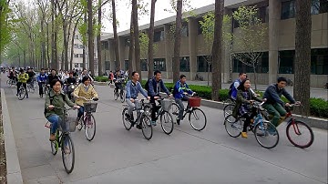 Tsinghua Bicycle - insightbeats.com