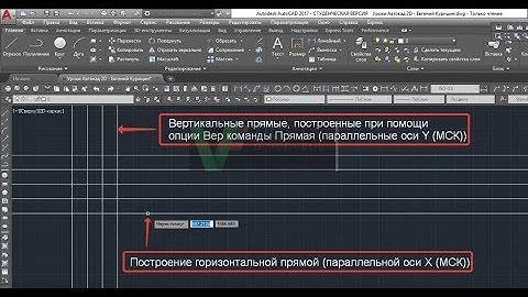 Lesson 8: How to draw XLINE in Autocad | Construction Line in AutoCAD | RAY command In AutoCAD