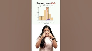 Plus One Commerce - Statistics | Most Important Diagram And Graphs | Xylem Plus One Commerce