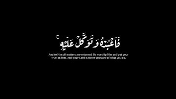 (ولله غيب السماوات والارض)|ماهر المعيقلي | سورة هود #krumat #reels #كرومات #quran #quran_kareem