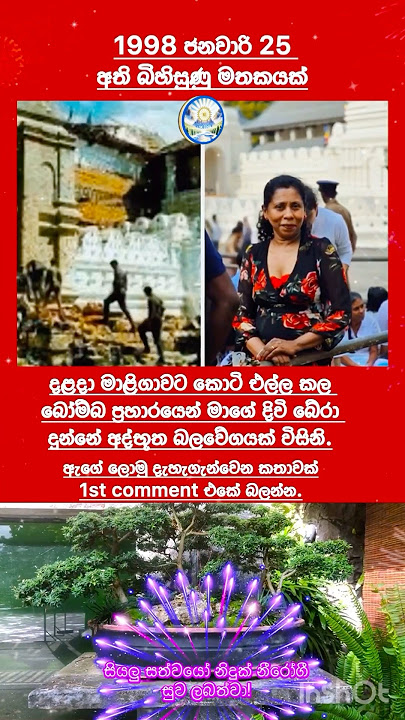 අත්භූත බලවේගයක් විසින් දිවි බේරා දුන්නා
