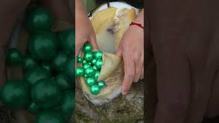 Giant Clams, Precious And Charming Green Pearls