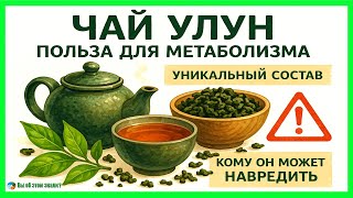 Чай Улун: польза для метаболизма, уникальный состав и кому он может навредить