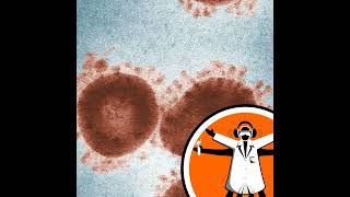 Coronavirus outbreak: where do we stand?