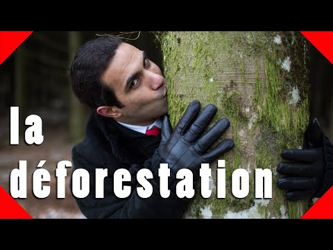 Vídeo: Com afecten les plantes la desforestació?