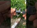 Video Image