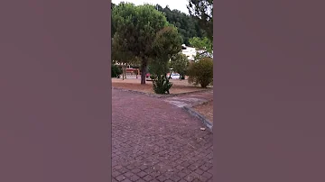 KASTAMONU ABANA GEZMEKÇİ TOCA Shorts Travel Tatil Abana Doğa 