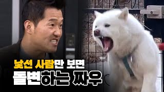 이경규도 물리고 강형욱까지 물었다?! 외부인에게 무섭게 돌변하는 두얼굴의 난폭견 짜우 | KBS 개는훌륭하다 200304 방송