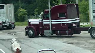 Miniatura de vídeo de "cow truck outlaw life"