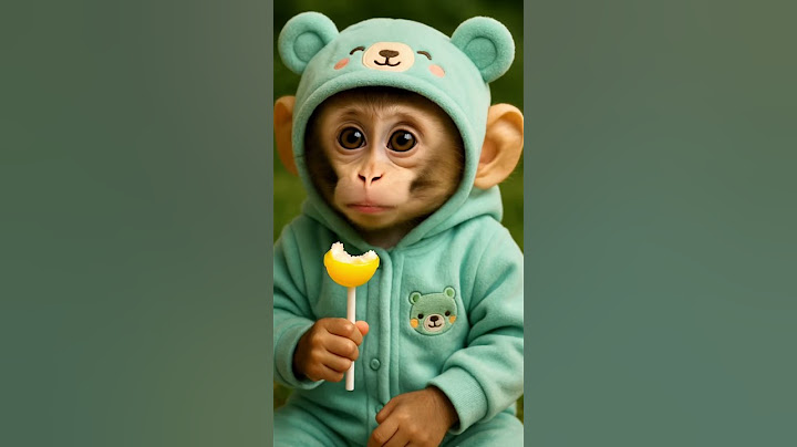 Cutest Reaction! Baby Monkey Eats Chupa Chups 🍭😍