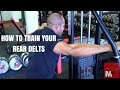 How to train your rear delts