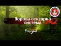 Зорова сенсорна система (реп-урок)