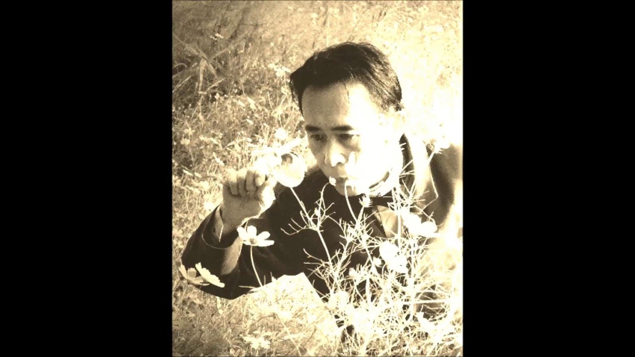 Susumu Hirasawa - The Visitor