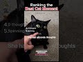 Ranking the Best Cat Moment OAT ❤️ 🐈