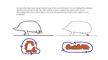Echidna Locomotion Study