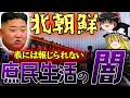 【ゆっくり解説】 【ゆっくり解説】北朝鮮市民はどんな生活なのか？駅のライトアップがやばすぎる...