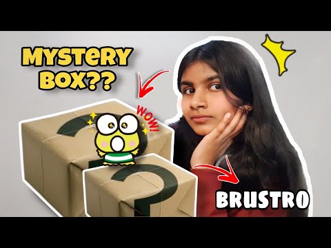 Brustro sent me this MYSTERY box🥸✨