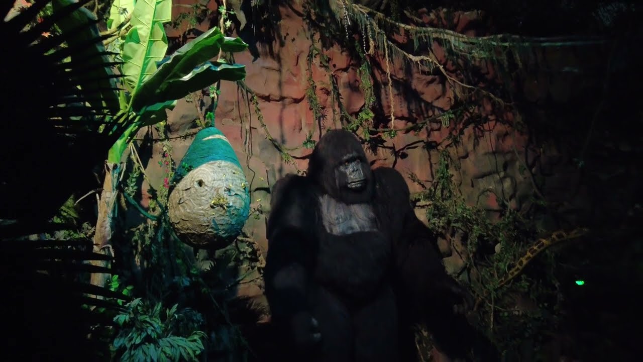 Джунгли Астана