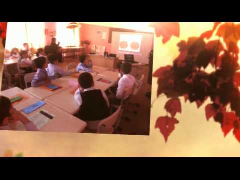 პროექტი- ,,წითელი ნუსხა\"