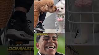 Même les animaux sont jaloux 😂🤣#comedy #tiktok