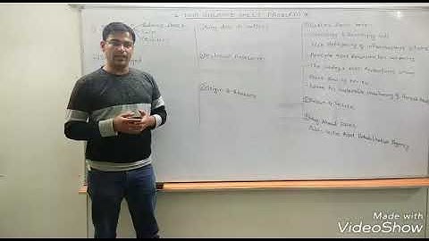 1701057 VIvek Chaudhari Twin Balance Sheet Problem