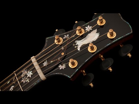 Inside PRS Acoustics - Tree of Life Limited Run