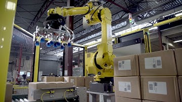 RPC-DF Dual Floor Palletizer by Pearson Packaging Systems