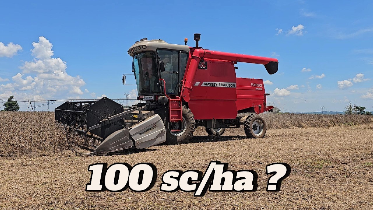 Será Que Bate Recorde? 😮 Colheita no Pivô