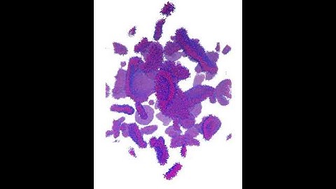 100x100x100 self-assembling vesicle 967k timesteps