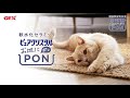 お皿にPON！でいつものお水が軟水に！ピュアクリスタルお皿にPON！