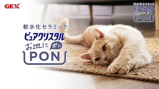 お皿にPON！でいつものお水が軟水に！ピュアクリスタルお皿にPON！