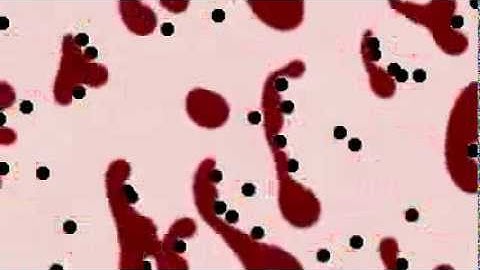 Real-time Multiphase Flow with the Lattice Boltzmann